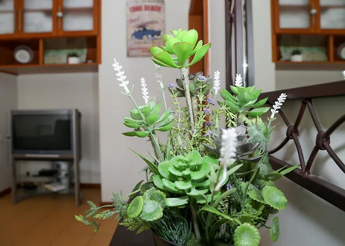 Apartment Casa Mares *